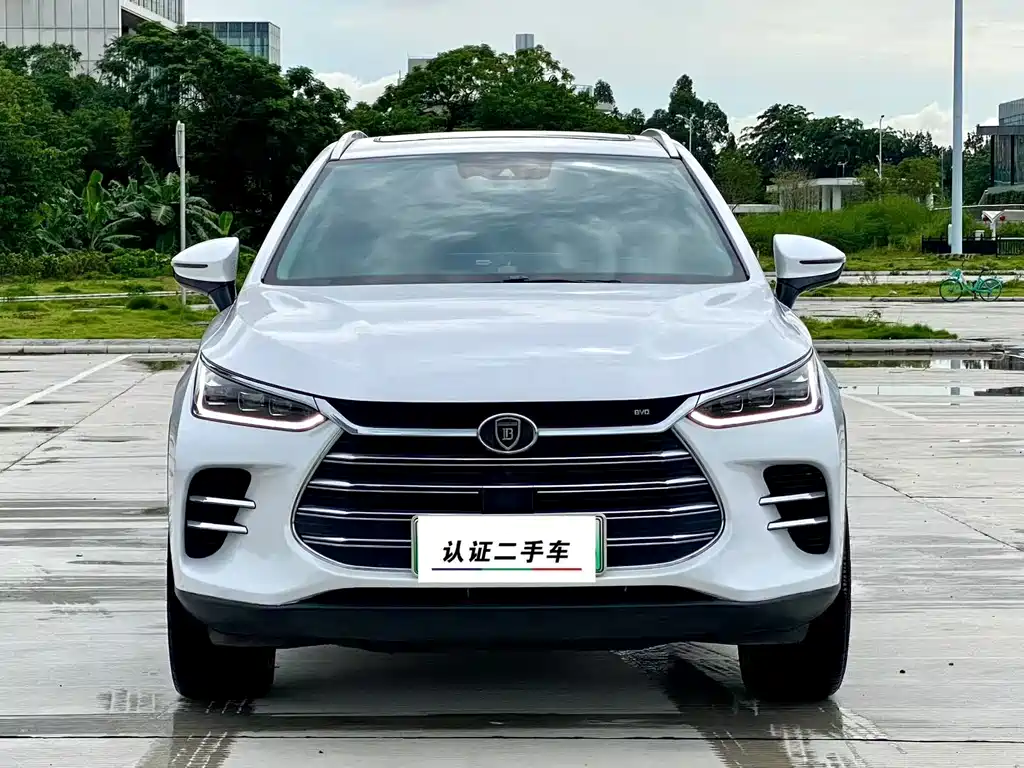BYD Tang New Energy 2020 — фото 2