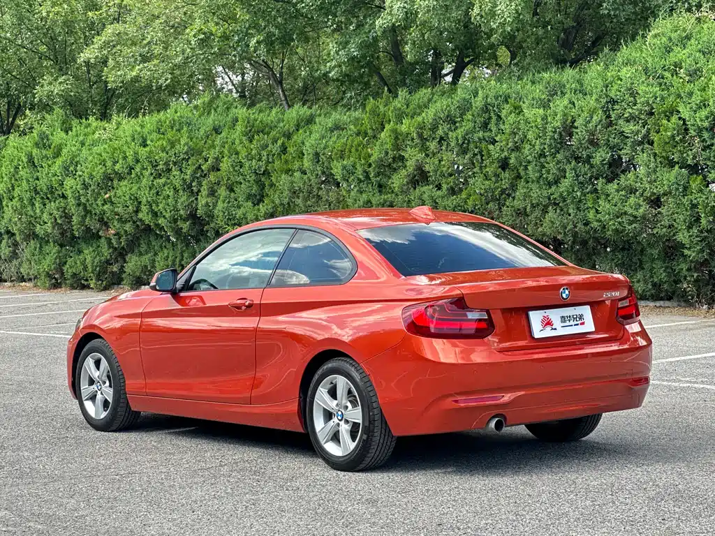 BMW 2 Series 2015 — фото 12