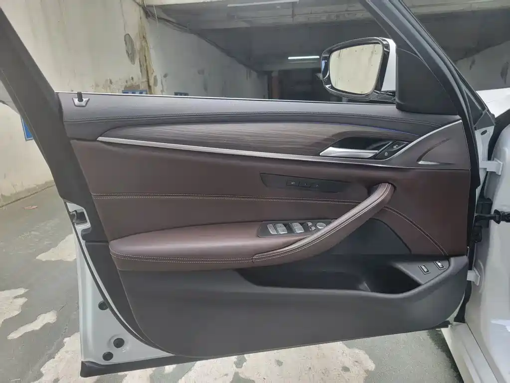 BMW 5 Series New Energy 2019