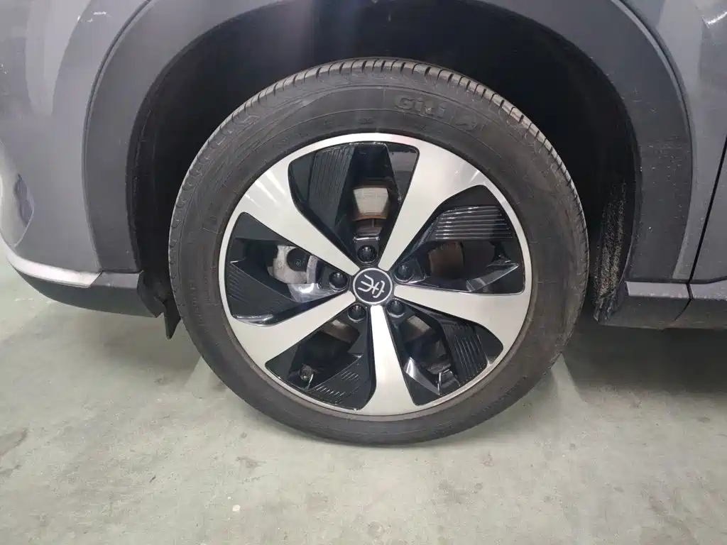 BYD Song PLUS New Energy 2022 — фото 25