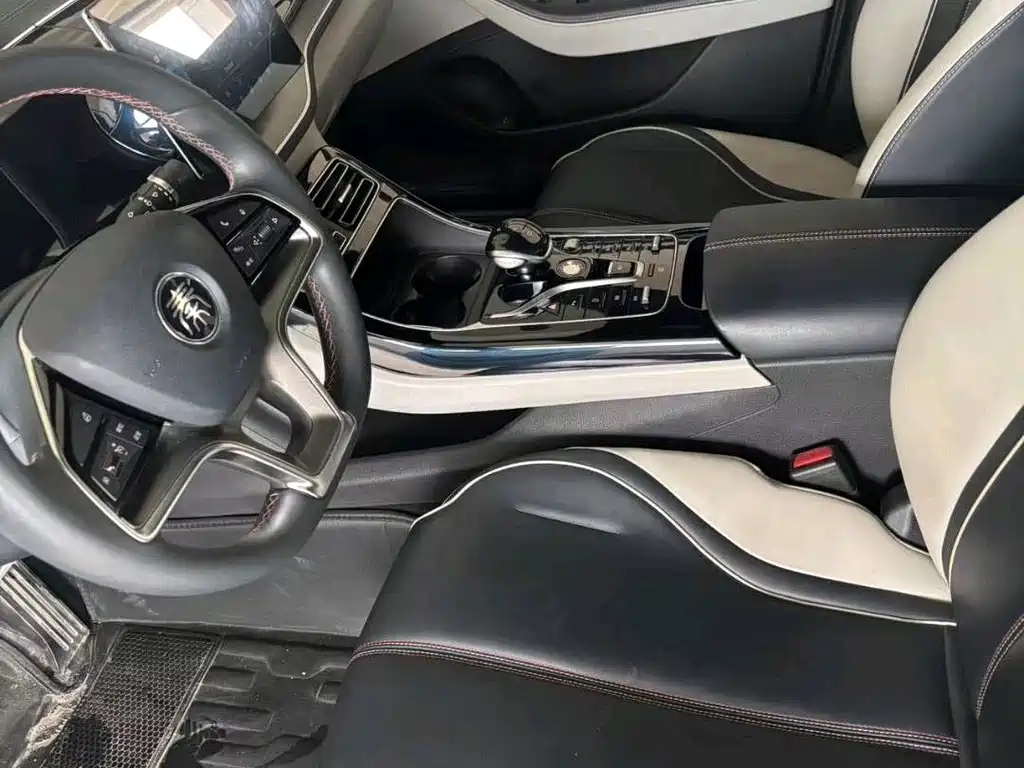 BYD Qin PLUS 2021