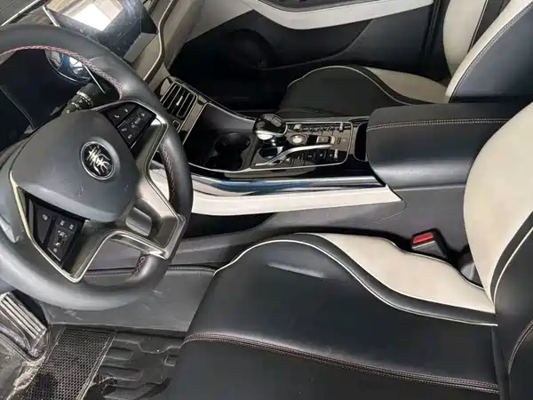 BYD Qin PLUS 2021