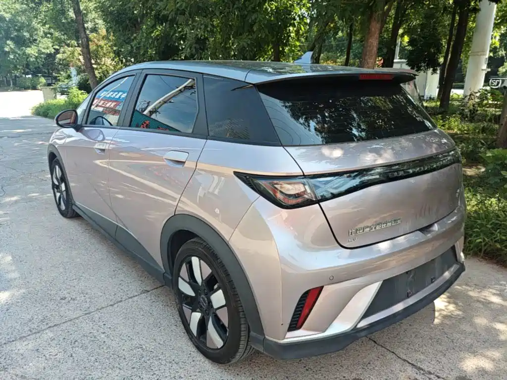 BYD Dolphin 2022