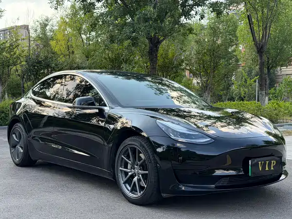 Tesla Model 3 2020