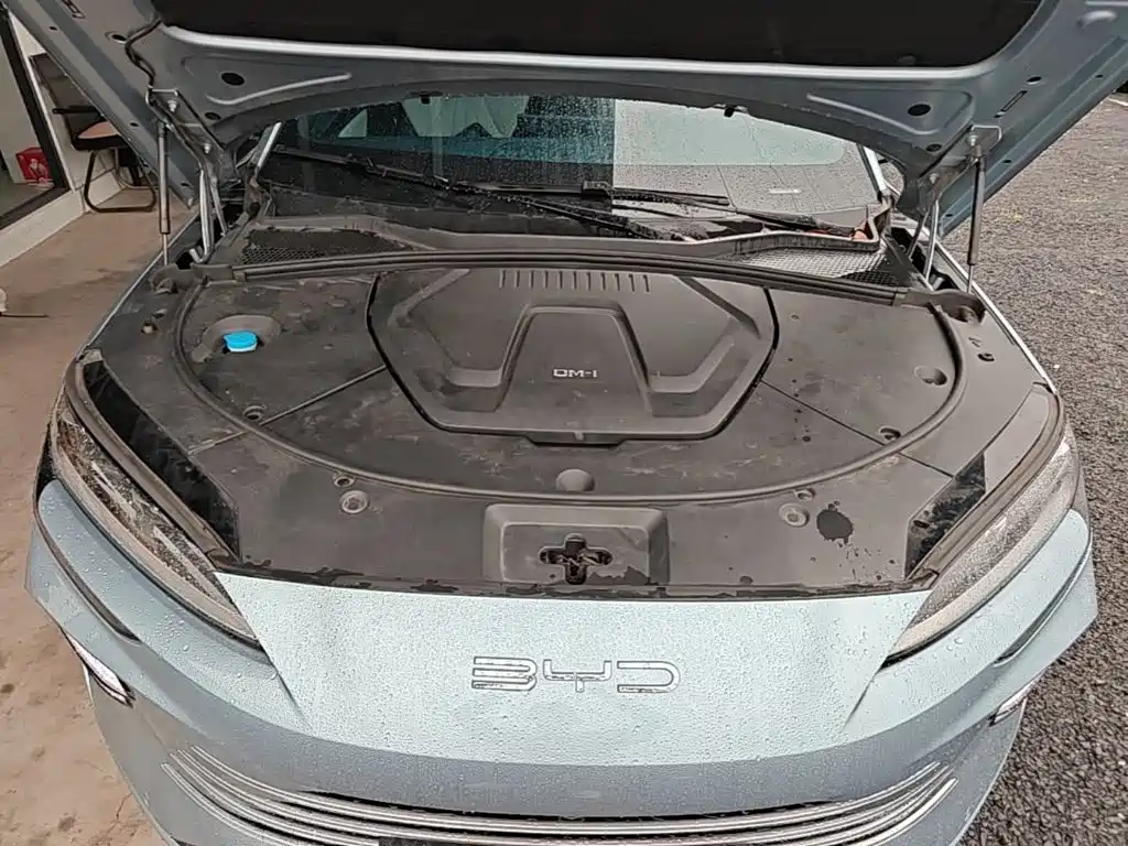BYD PLUS New Energy 2023 — фото 20