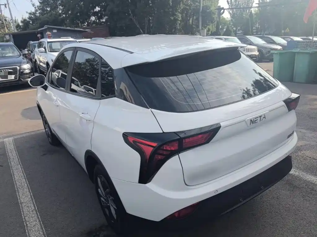 Neta V 2021