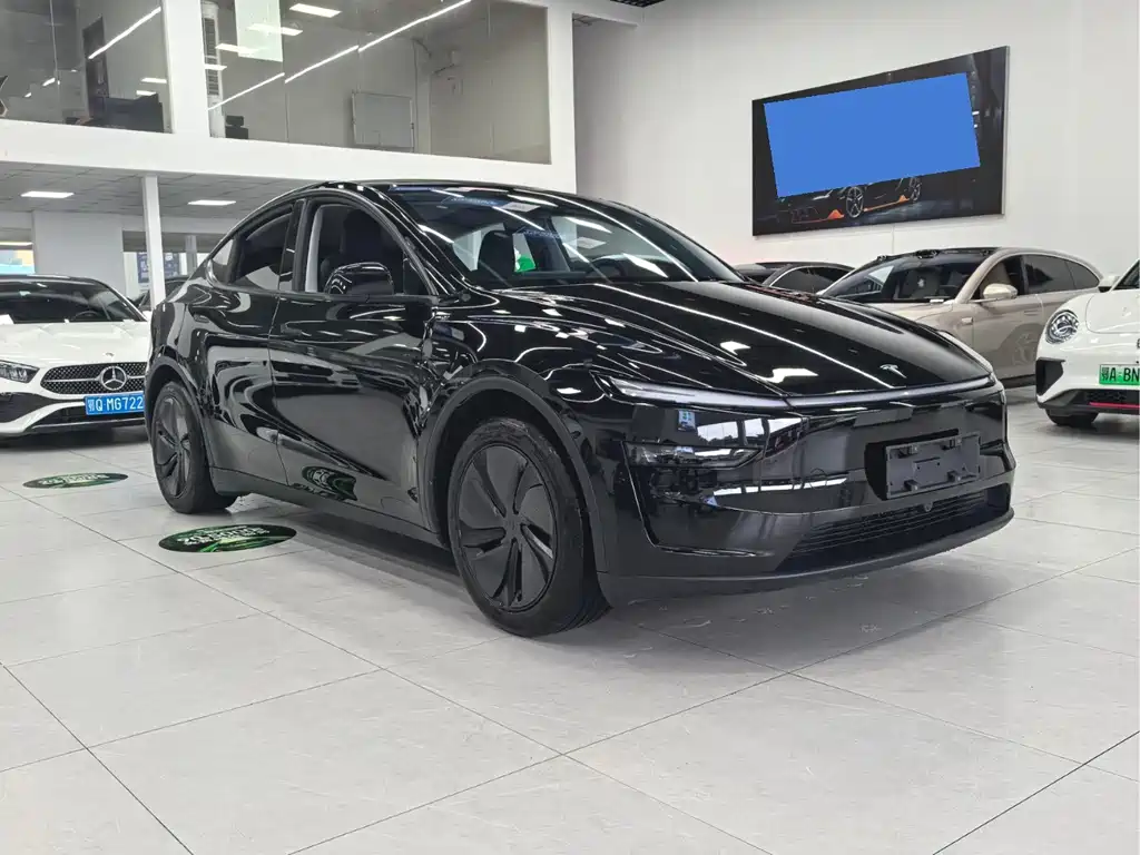 Tesla Model Y 2025 — фото 3