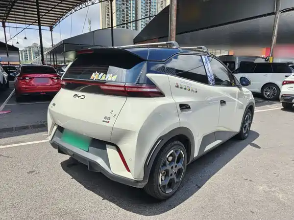 BYD Seagull 2024