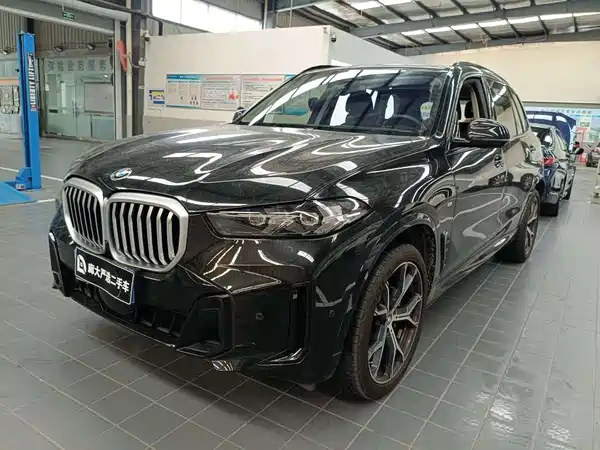 BMW X5 2024