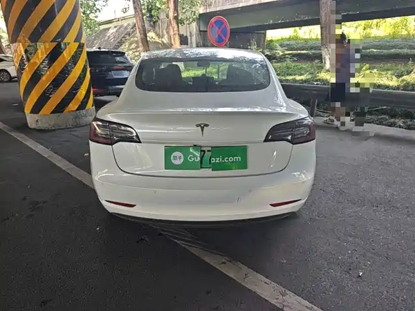 Tesla Model 3 2019