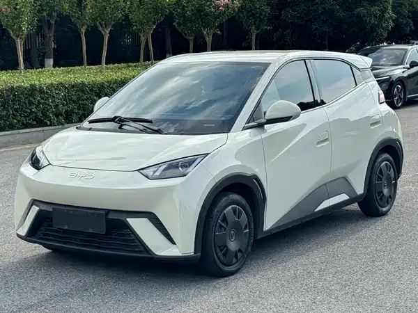 BYD Seagull 2024