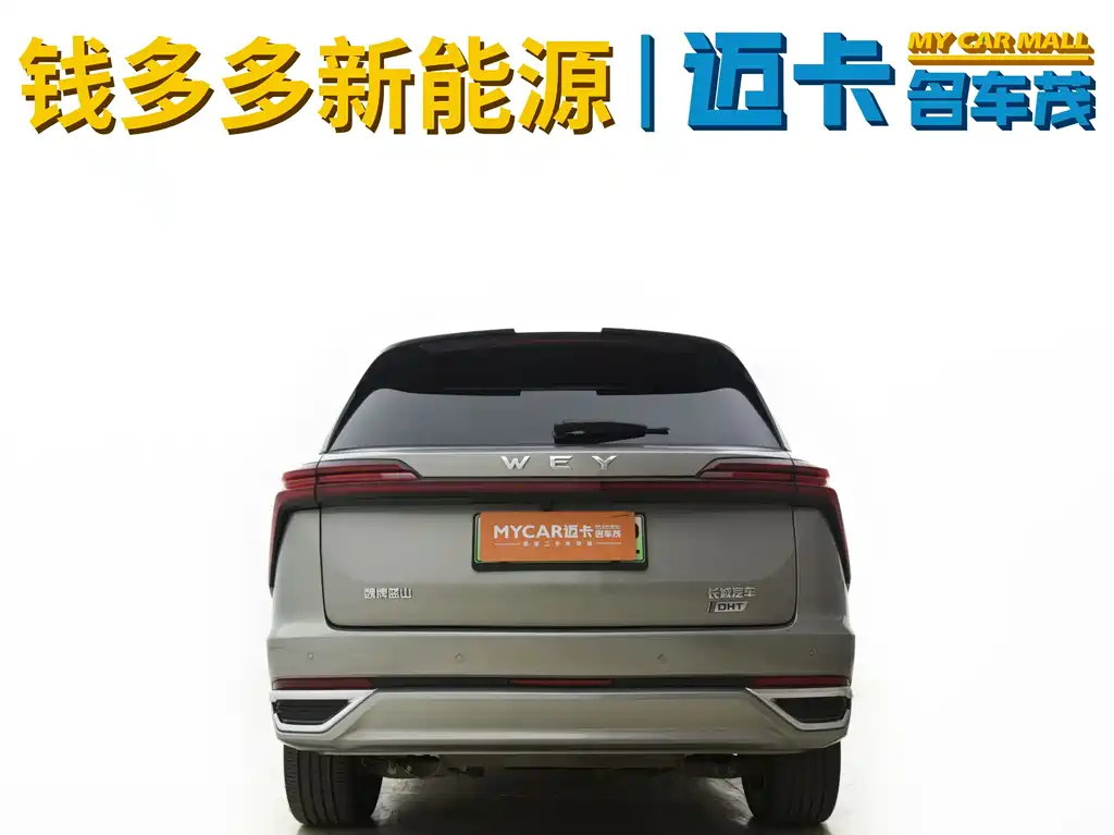 Wey Lanshan 2023