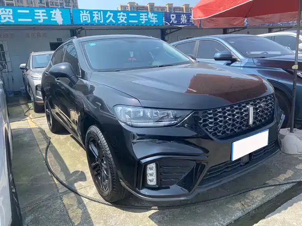 Wey VV5 2020