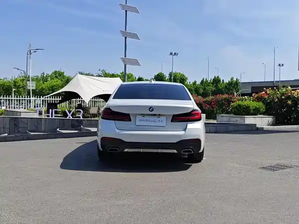 BMW 5 Series New Energy 2021