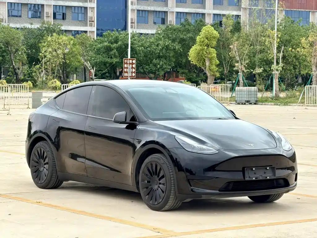 Tesla Model Y 2023 — фото 2