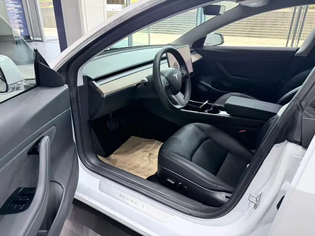 Tesla Model 3 2019