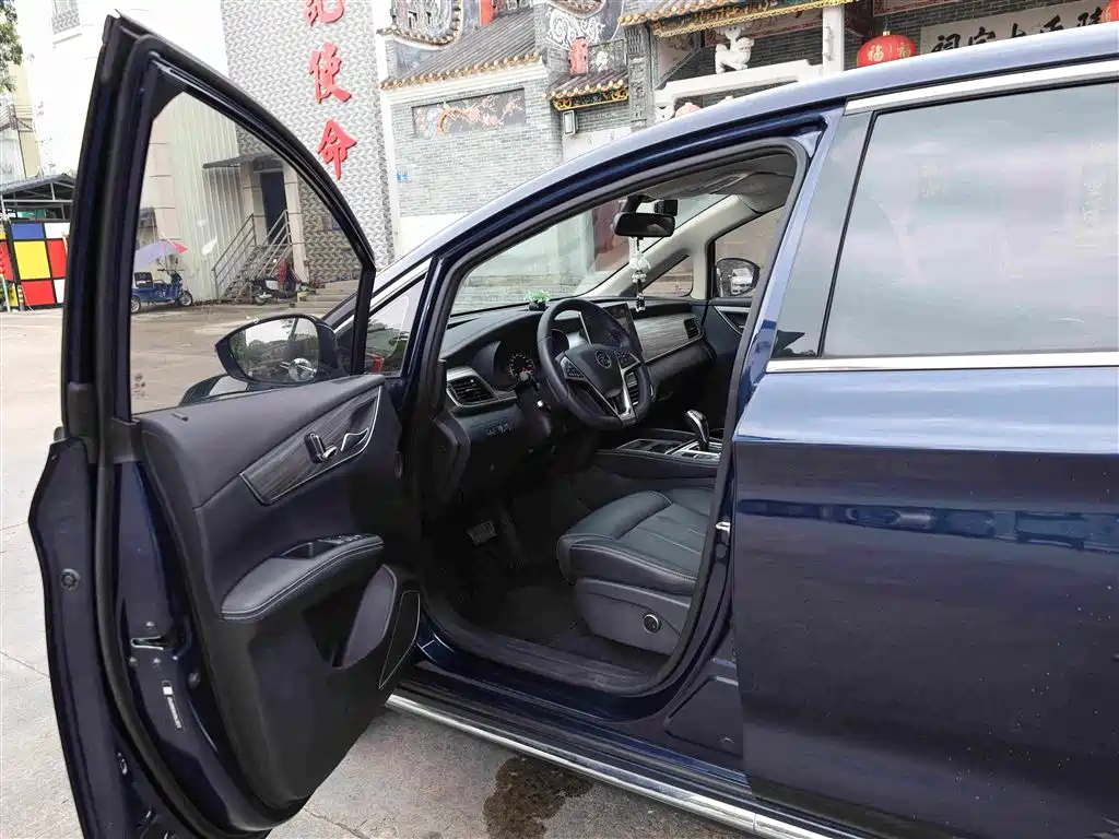 BYD MAX New Energy 2019