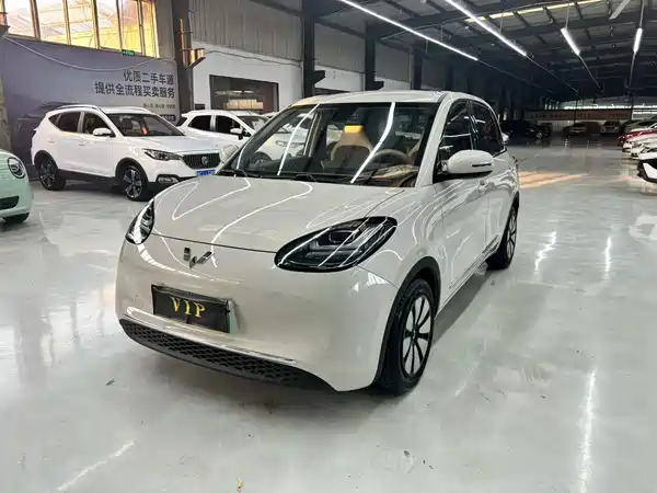 Wuling Bingo 2023