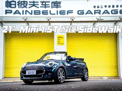 MINI MINI 2021