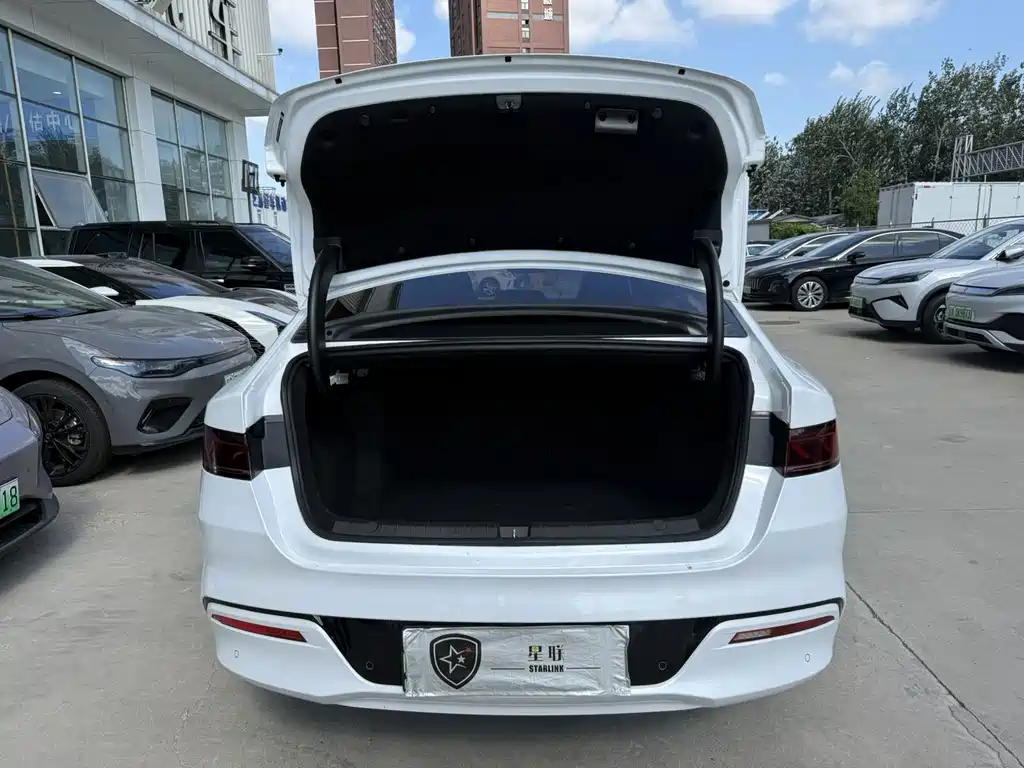 BYD Qin PLUS 2024 — фото 12