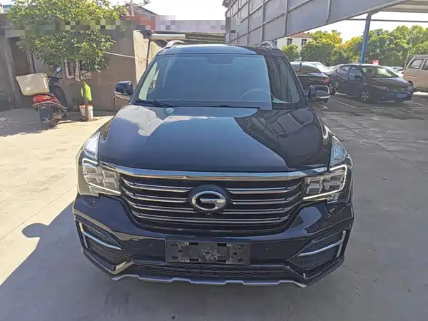 GAC Trumpchi GS8 2020