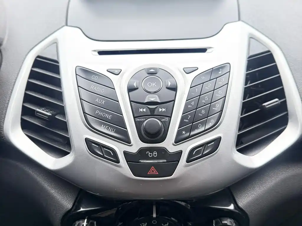 Ford Ecosport 2013 — фото 12