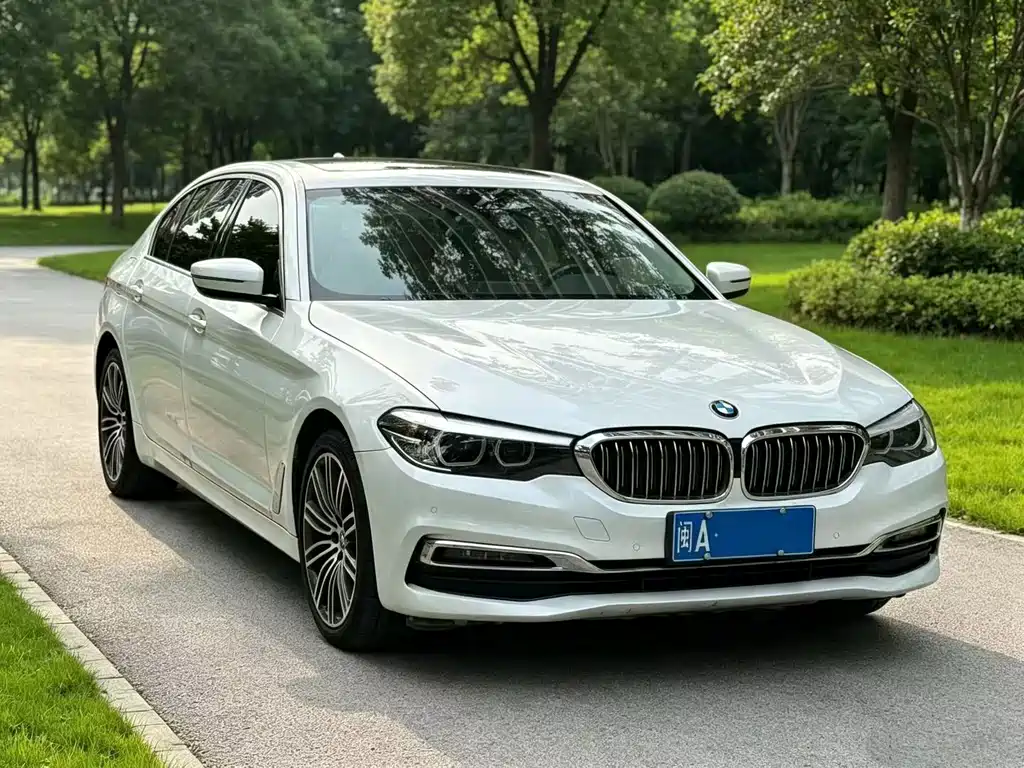 BMW 5 Series 2019