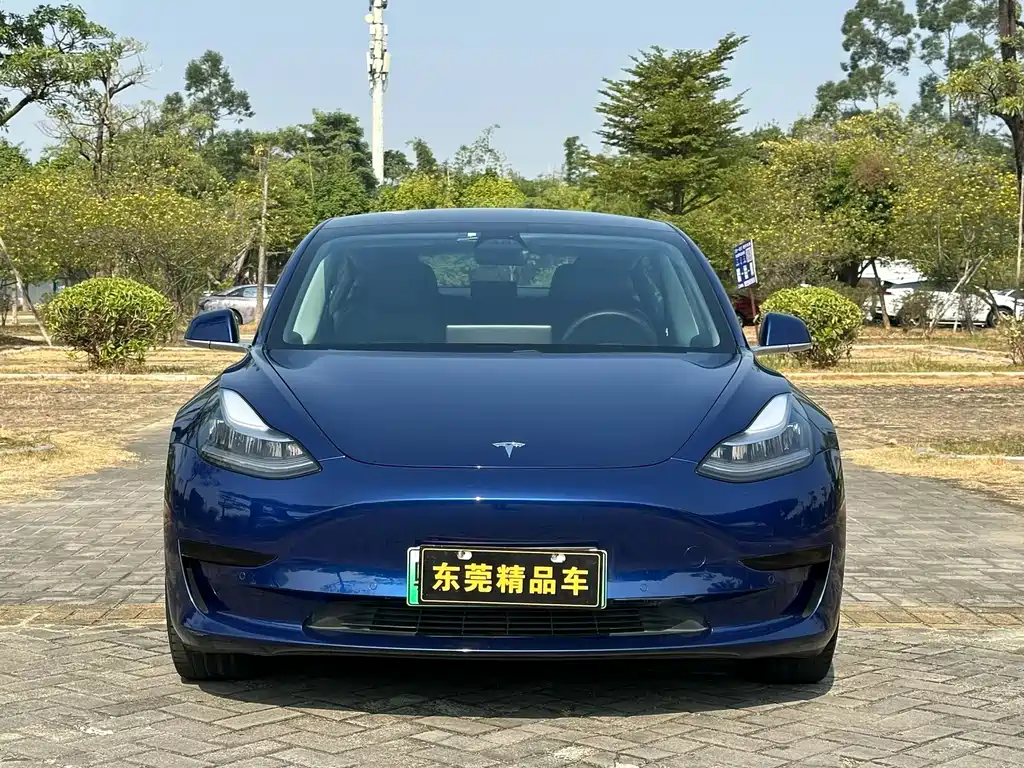 Tesla Model 3 2019 — фото 2