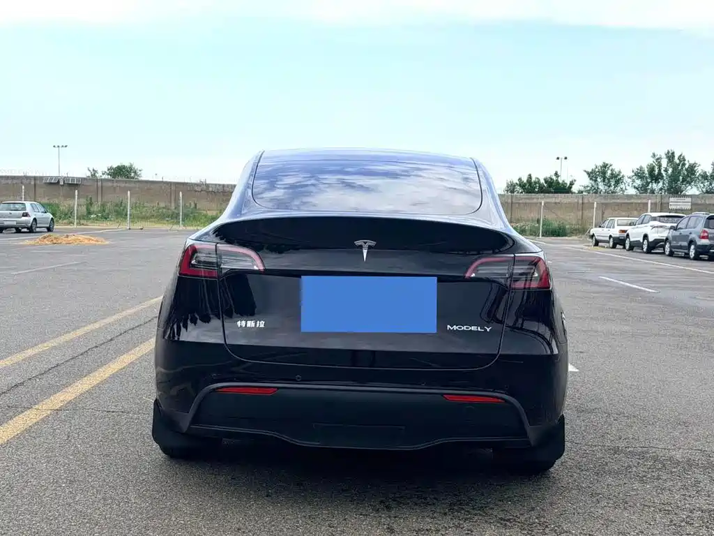 Tesla Model Y 2021 — фото 8