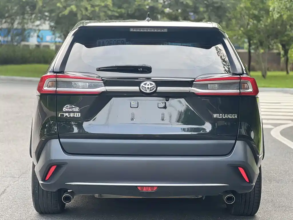 Toyota Wildlander 2024 — фото 15