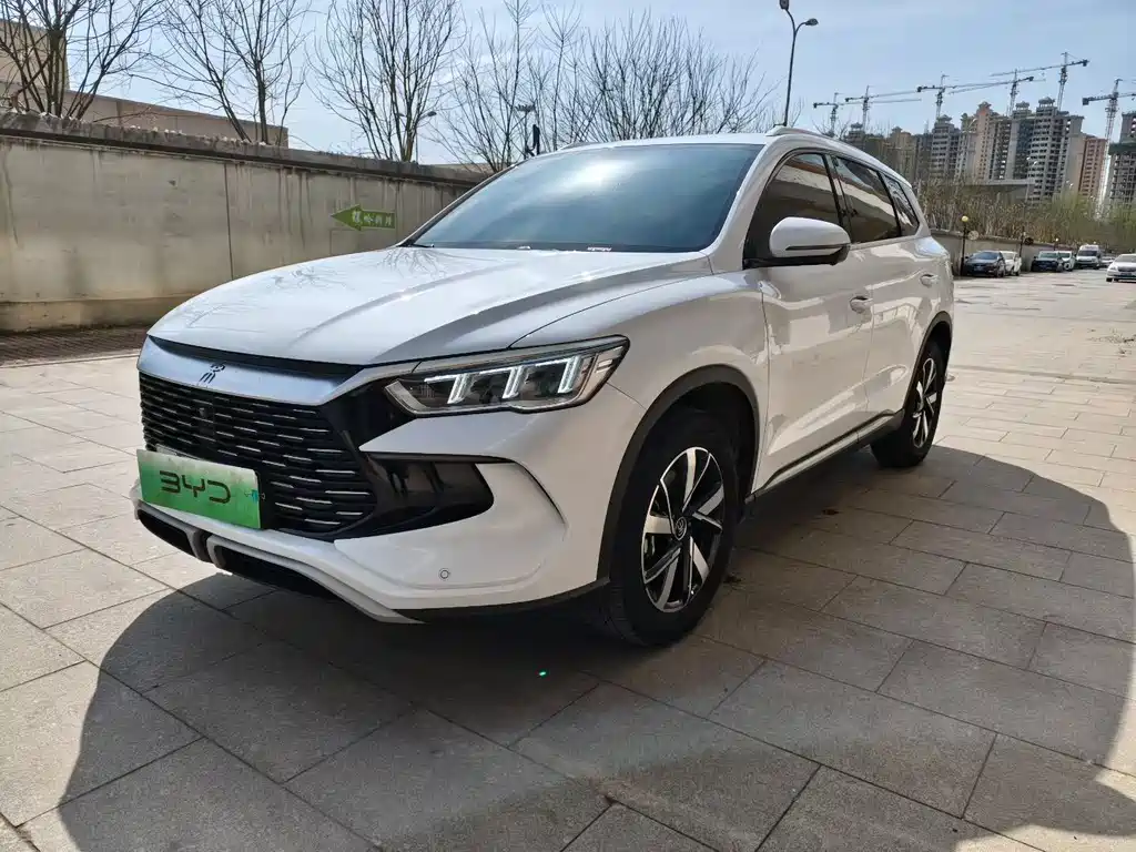 BYD Pro New Energy 2024 — фото 1