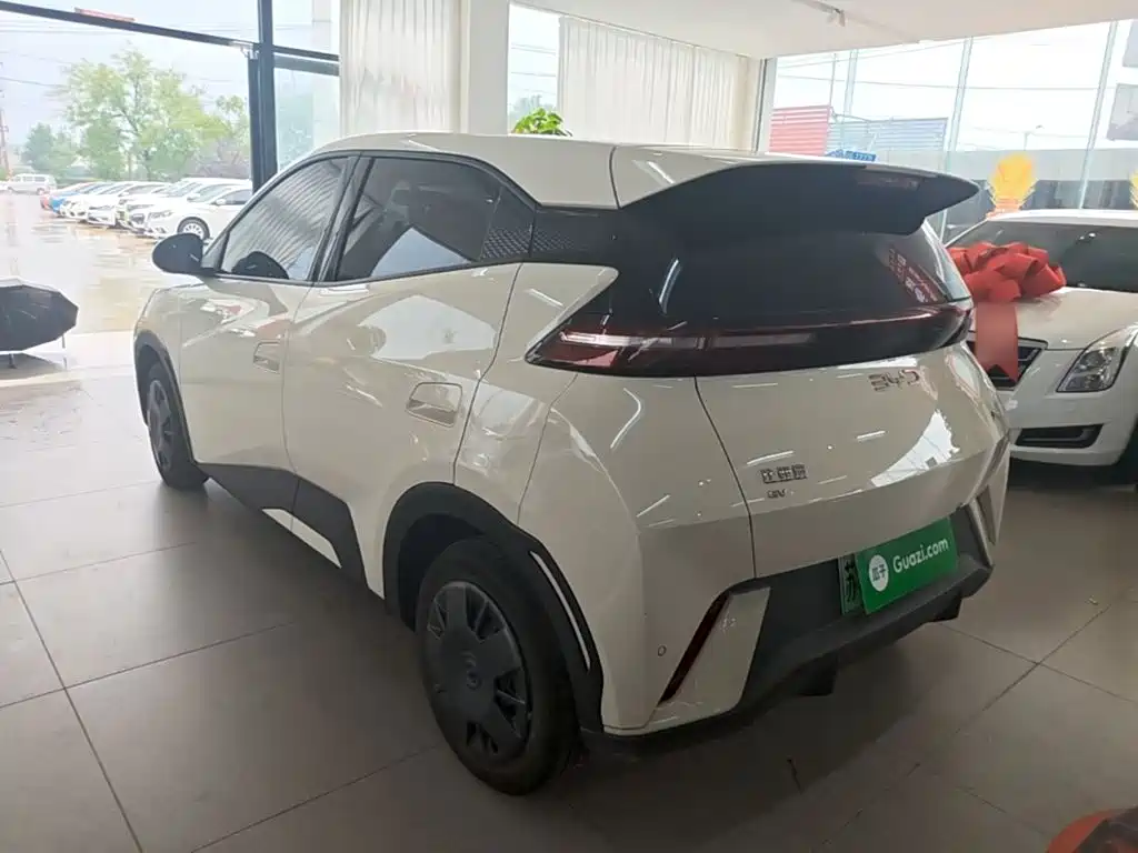 BYD Seagull 2024