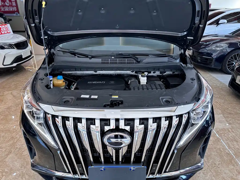 GAC Motor Trumpchi M8 2021 — фото 17