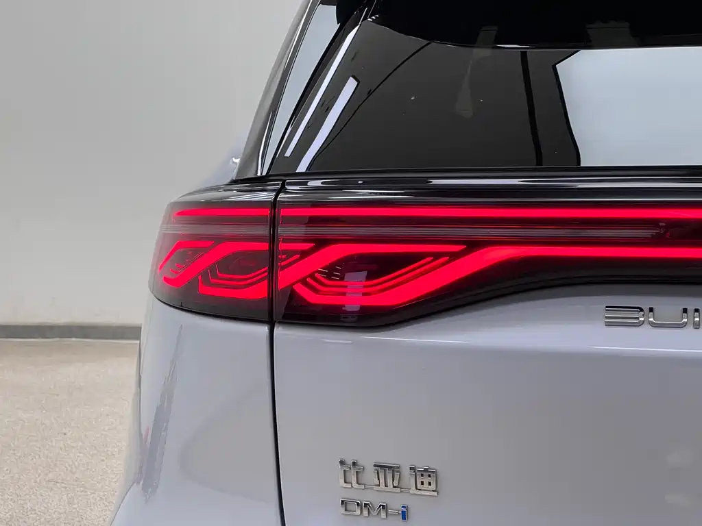 BYD Tang New Energy 2024 — фото 11