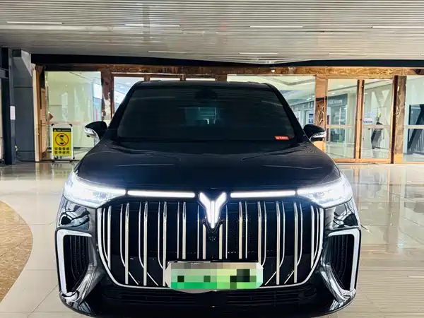 Voyah Dreamer 2023