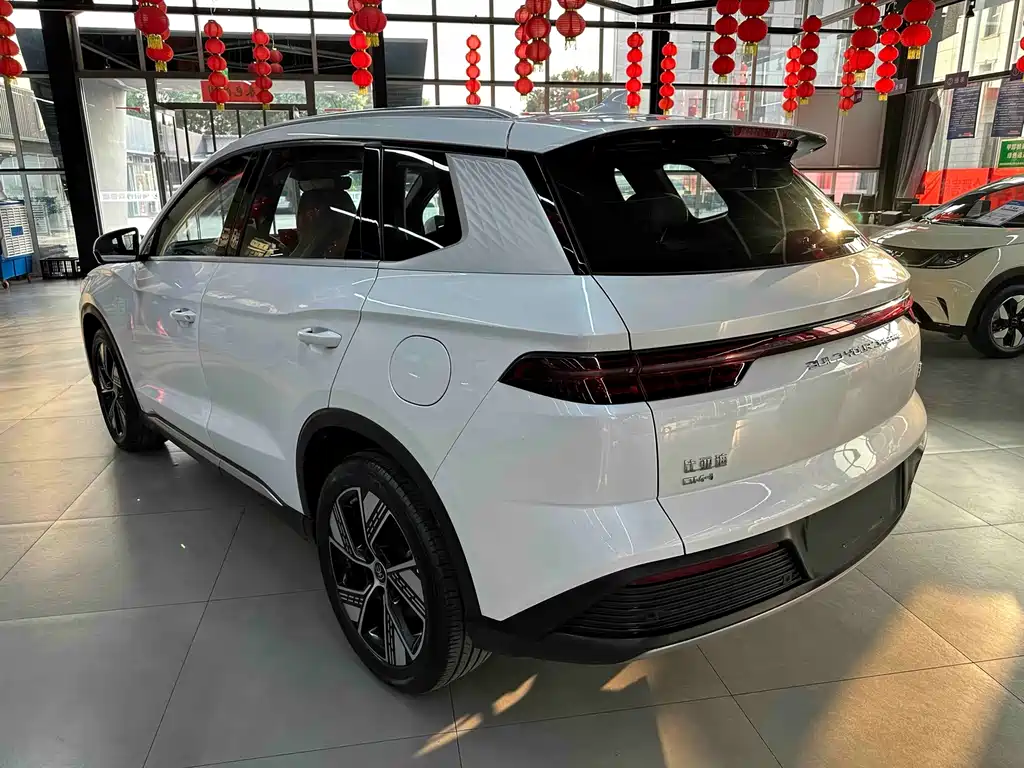 BYD Song Pro New Energy 2024 — фото 12