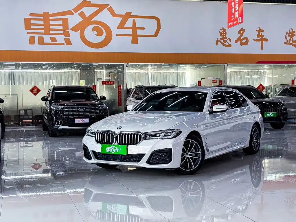 BMW 5 Series New Energy 2021 — фото 1