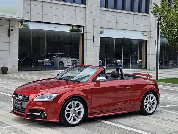Audi TTS 2013