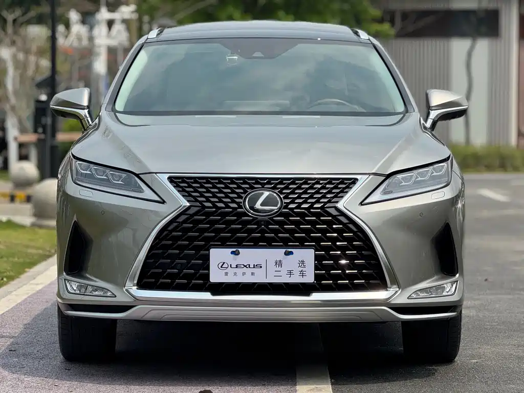 Lexus RX 2020 — фото 2