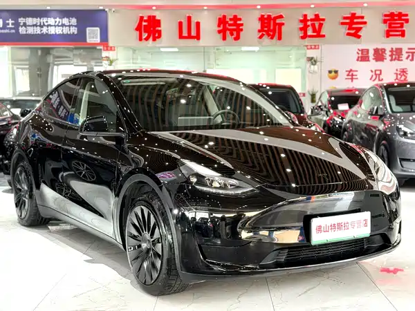 Tesla Model Y 2024