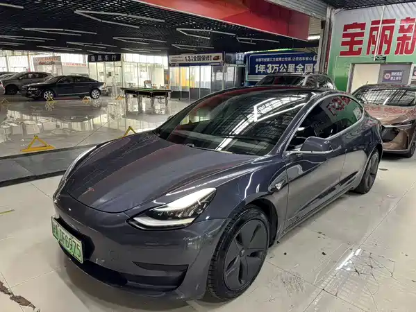 Tesla Model 3 2019