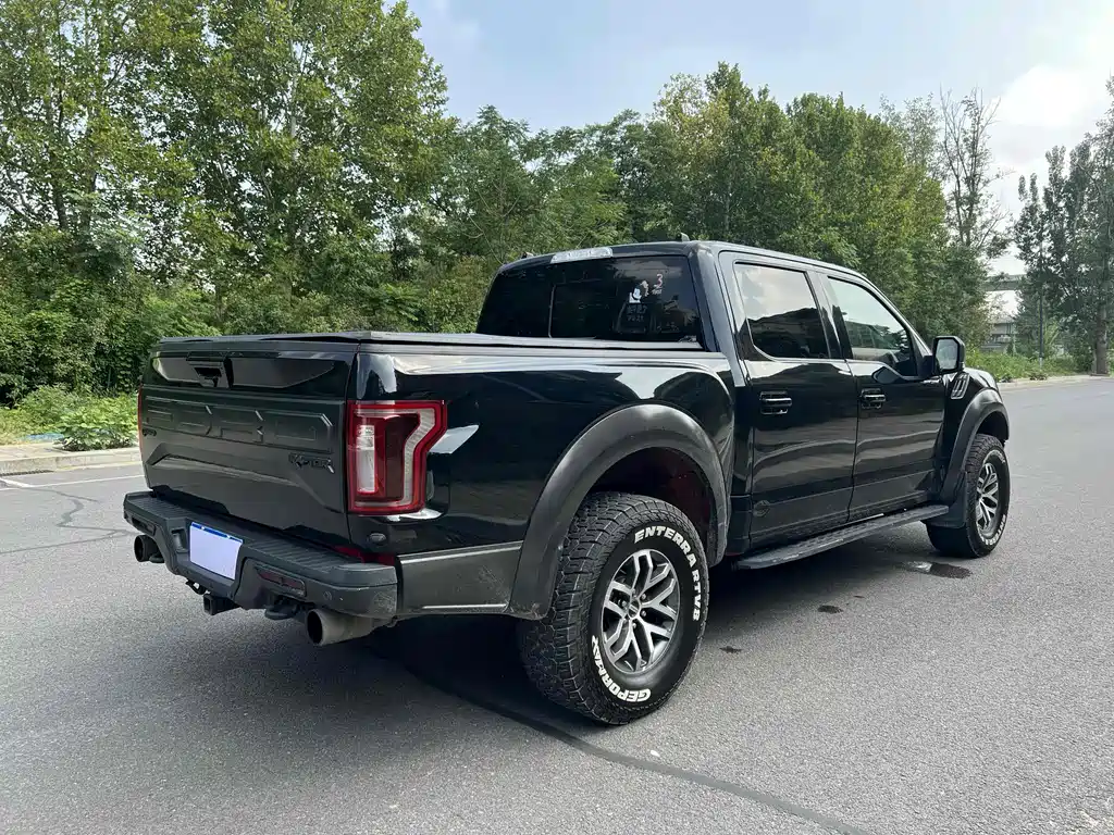 Ford F-150 Raptor 2019 — фото 8
