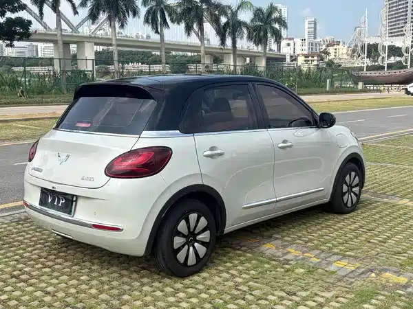 Wuling Bingo 2024