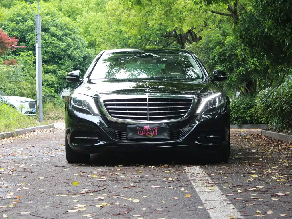Mercedes-Benz S-Class 2014 — фото 2
