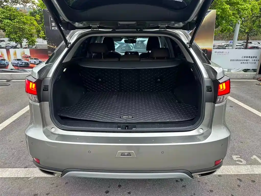 Lexus RX 2020 — фото 12