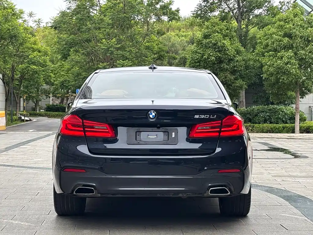 BMW 5 Series 2018 — фото 6
