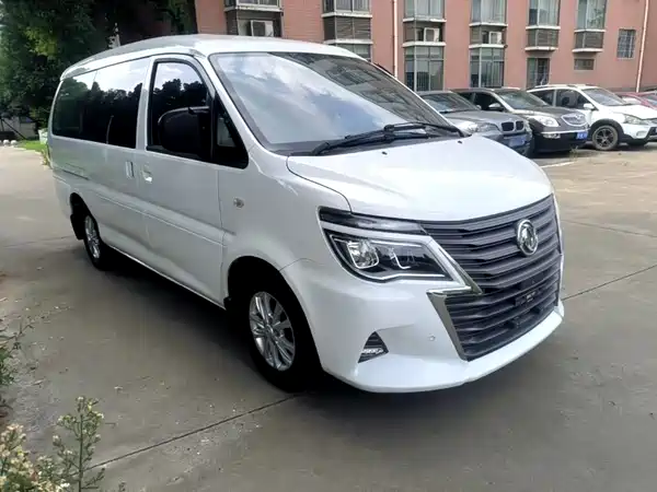 Dongfeng Lingzhi 2020