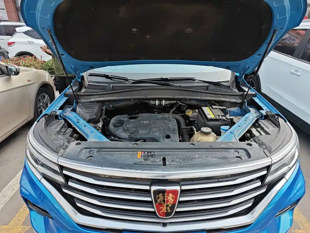Roewe RX5 MAX 2021 — фото 16