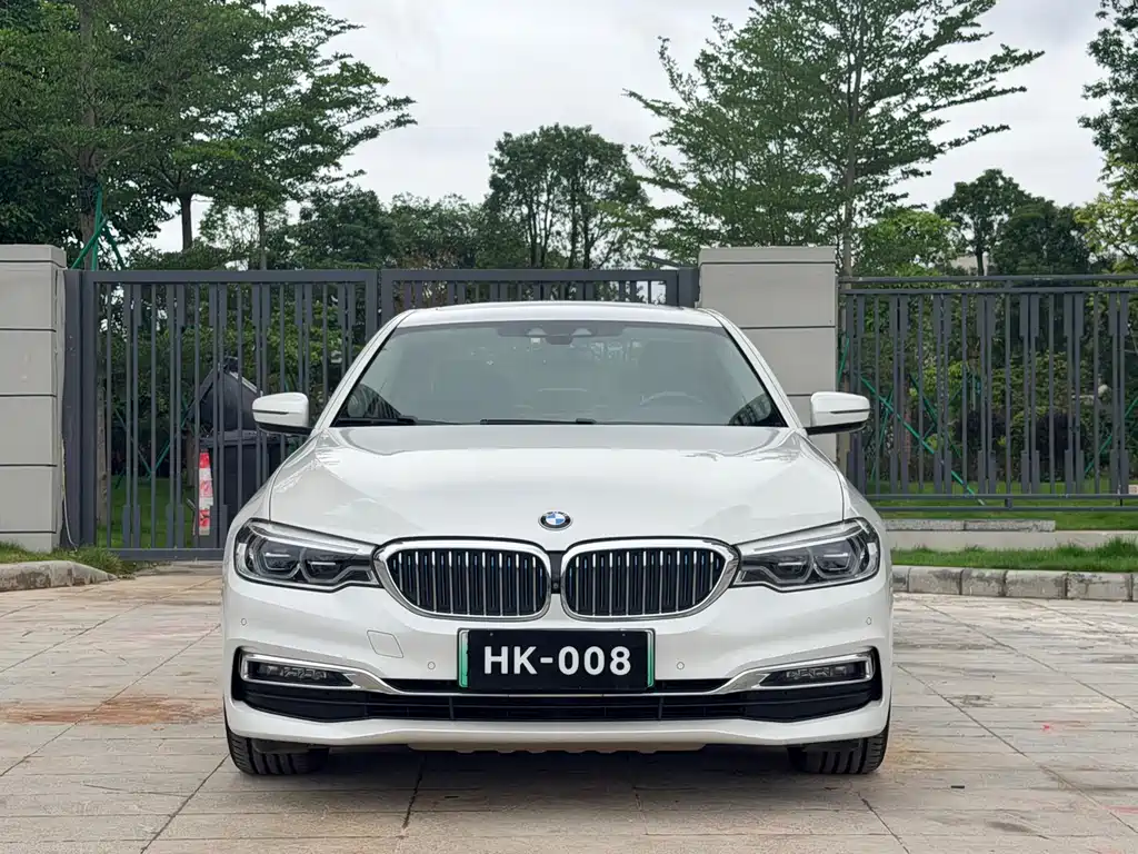 BMW 5 Series New Energy 2019