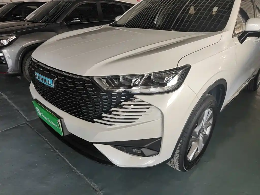 Haval H6 New Energy 2022 — фото 24